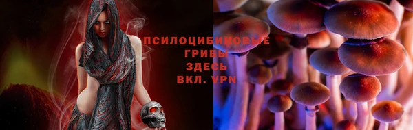 mdpv Алзамай