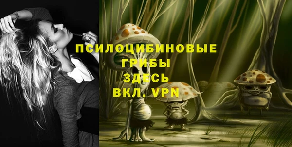 mdpv Алзамай