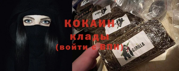сатива Аркадак
