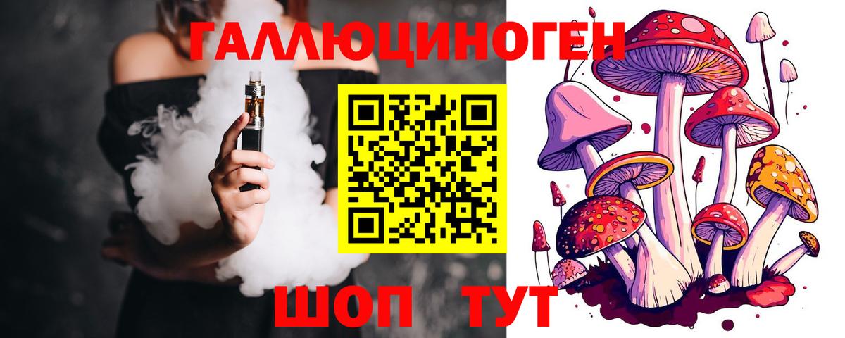 Ахтубинск  Галлюциногенные грибы Cubensis  Вход с VPN 